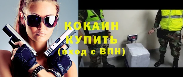 стаф Касимов