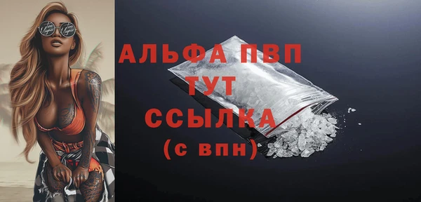 стаф Касимов