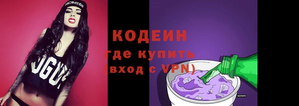 сатива Инсар