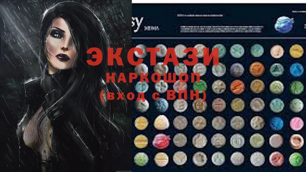 стаф Касимов