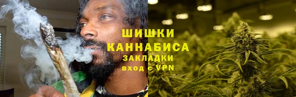 стаф Касимов