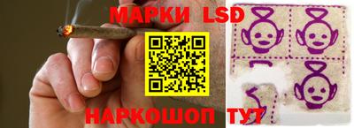 гидропоника Краснодар