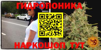 соль ск Краснознаменск