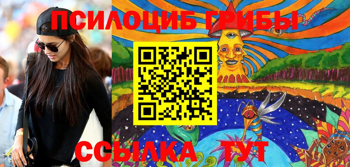 Галлюциногенные грибы Psilocybe Красноуфимск